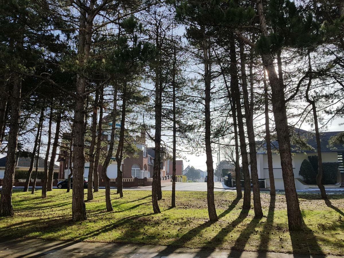 Ferienwohnung Sunny Days - App 60 M2 Avec Balcon, 4 Pers, 3E Etage, Au Calme Et Ensoleille Le Touquet Exterior foto
